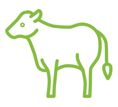 Bakara Farm Besi Çiftliği