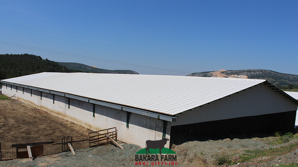 Bakara Farm Besi Çiftliği